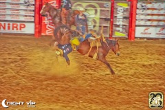 14072022-RIO-PRETO-COUNTRY-BULLS-2