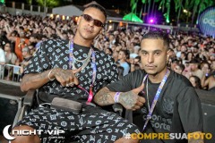 23-11-2024-AWE-Festival-85