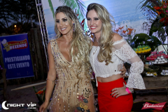 28072018 -Aniversário Ana Paula Castilho (160)